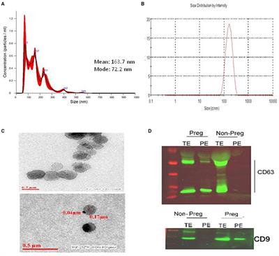 Circulating Placental Alkaline Phosphatase Expressing Exosomes in Maternal Blood Showed Temporal Regulation of Placental Genes